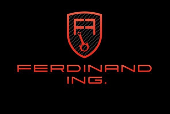  ferdinand.ing